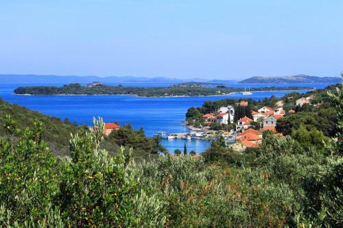 Apartments With A Parking Space Zman (dugi Otok) - 449