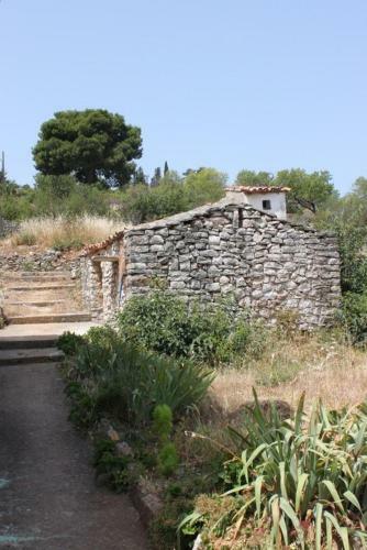 Apartments With A Parking Space Zman (dugi Otok) - 449