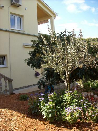 Apartments Hrboka