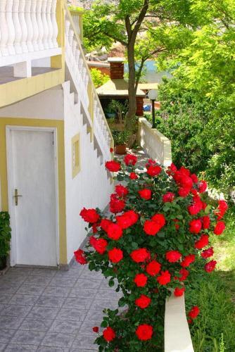 Apartamentos Studio Metajna 4116a