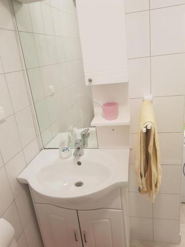 Apartment Zubovici 13966b
