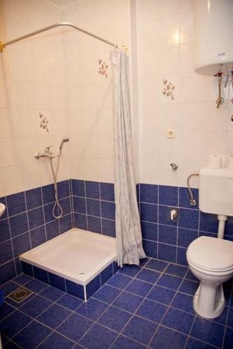 Apartments Drazice