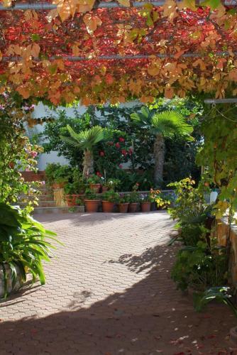 Apartment Kustici 9360b
