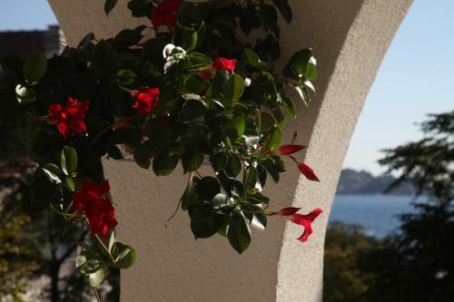 Apartments Villa Moretti