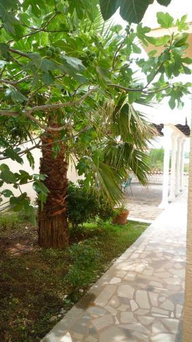 Hostal Apartments Antovesa
