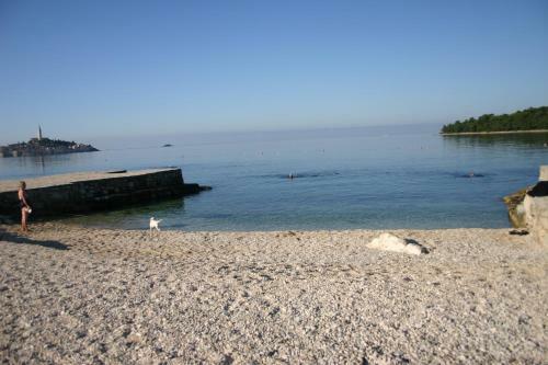 Apartment In Rovinj/istrien 11571