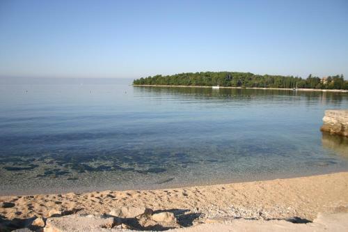 Apartment In Rovinj/istrien 11571