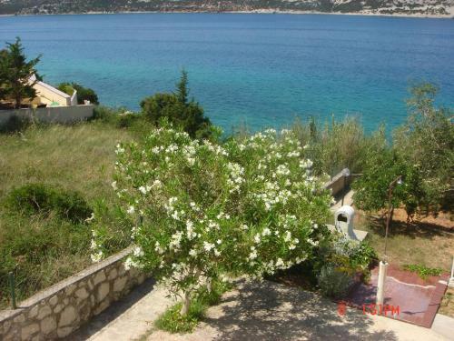 Apartment Stara Novalja 13938b