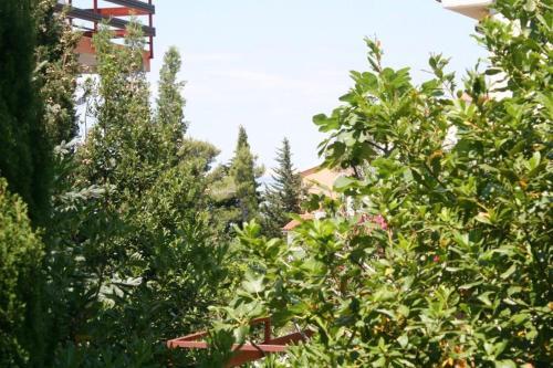 Hostal Family Room Starigrad 6580a