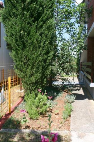 Hostal Family Room Starigrad 6580a