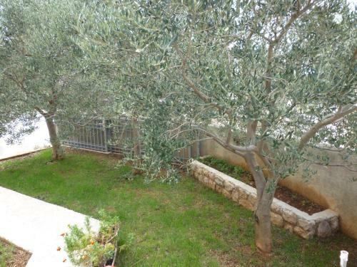 Apartmani Relax