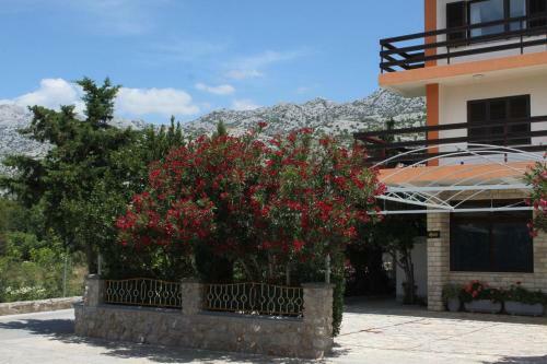 Apartment Starigrad 6591b