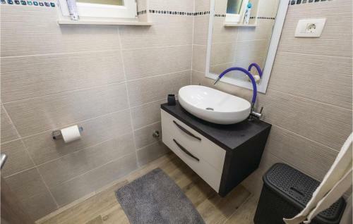 Four-bedroom Holiday Home In Josinovac