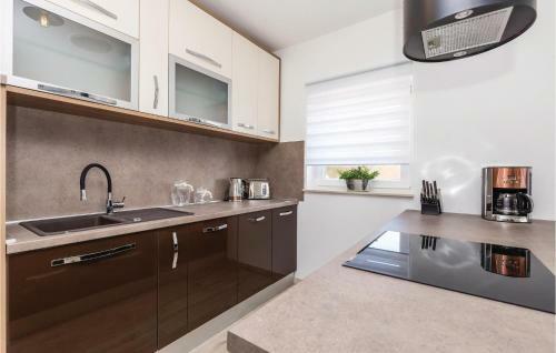 Four-bedroom Holiday Home In Josinovac