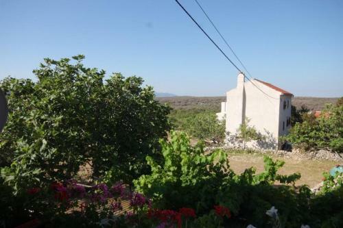 Apartment Stivan 382a