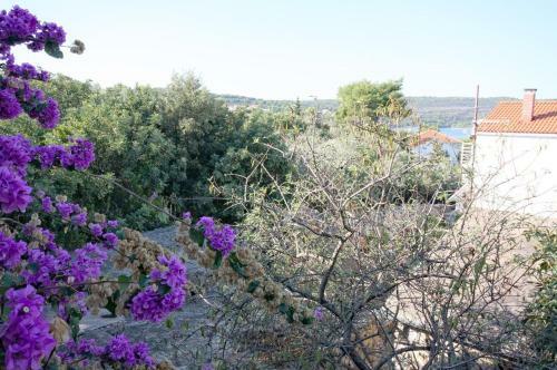 Apartment Necujam 5208b