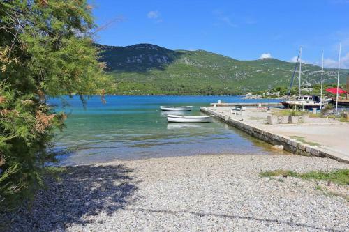 Apartments With A Swimming Pool Ston (peljesac) - 10208
