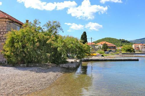 Apartments With A Swimming Pool Ston (peljesac) - 10208