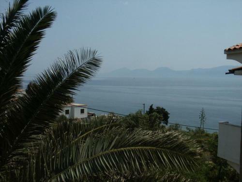 Apartments By The Sea Sucuraj (hvar) - 578
