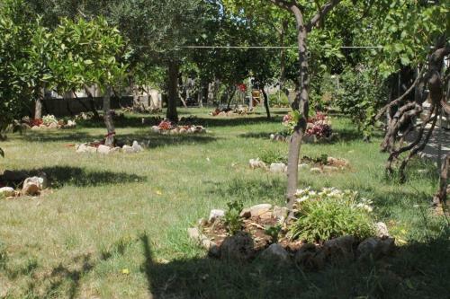 Apartment Sucuraj 3589b