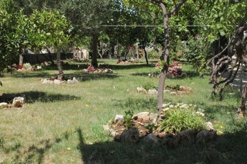 Apartamentos Studio Sucuraj 3589l