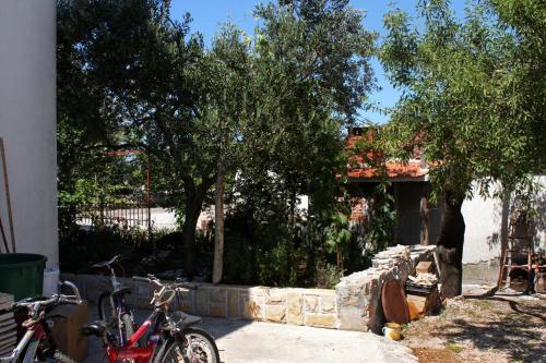 Apartment Sucuraj 6732c