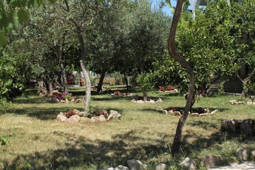 Apartamentos Studio Sucuraj 6852i