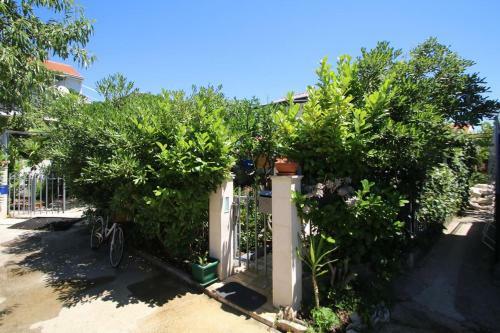 Seaside Holiday House Sucuraj (Hvar) - 15141