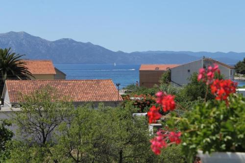 Apartments By The Sea Sucuraj (hvar) - 3589