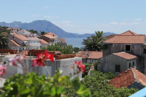 Apartments By The Sea Sucuraj (hvar) - 3589