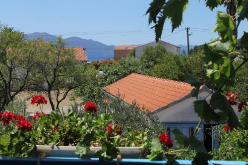 Apartments By The Sea Sucuraj (hvar) - 6852