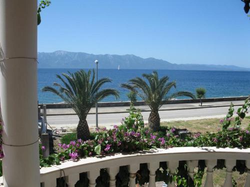 Apartments By The Sea Sucuraj (hvar) - 590
