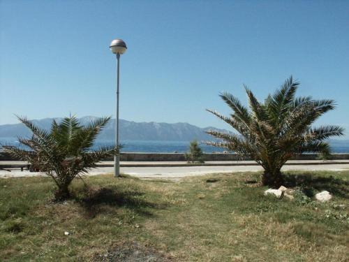 Apartments By The Sea Sucuraj (hvar) - 590