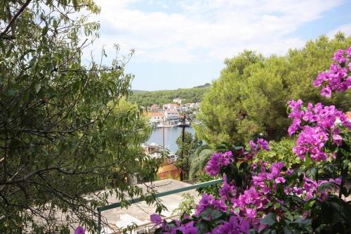 Family Friendly Seaside Apartments Sumartin (brac) - 5771