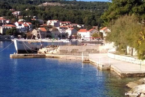 Family Friendly Seaside Apartments Sumartin (brac) - 5771