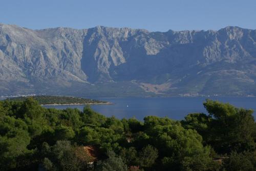 Hostal Apartments And Rooms With Parking Space Sumartin (brac) - 757