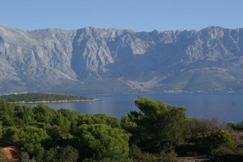 Hostal Apartments And Rooms With Parking Space Sumartin (brac) - 757