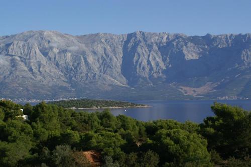 Hostal Apartments And Rooms With Parking Space Sumartin (brac) - 757