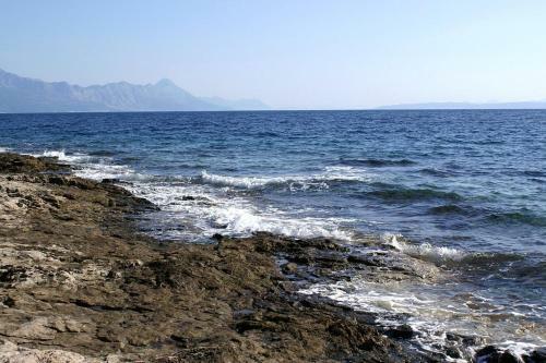 Apartments By The Sea Sumartin (brac) - 2951