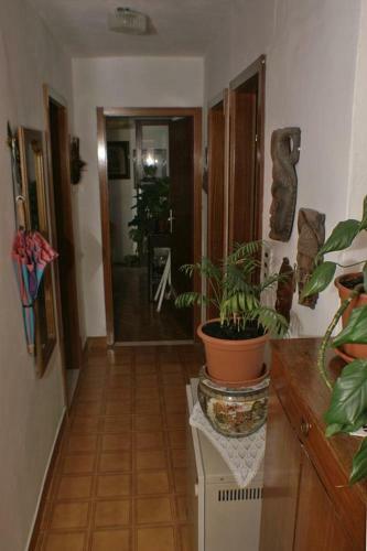 Apartments By The Sea Sutivan (brac) - 2849
