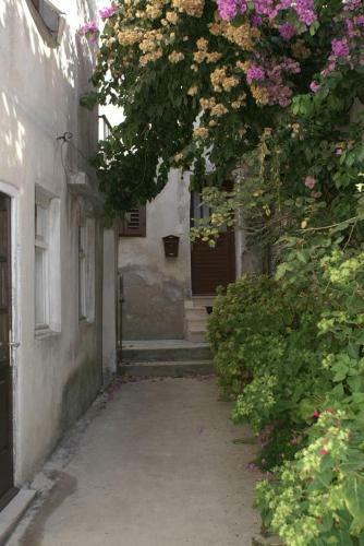 Apartments By The Sea Sutivan (brac) - 2849