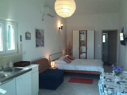 Apartment Brane