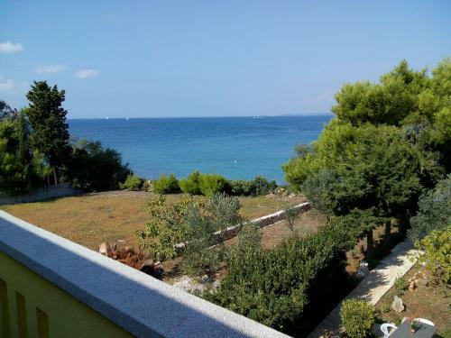 Apartment Branko