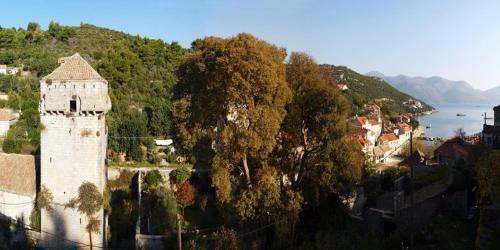 Apartments Pavlovic