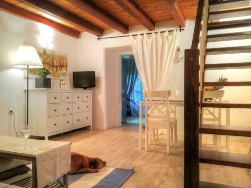 Holiday House Little Precious