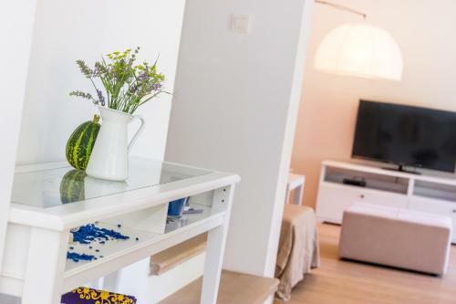 Apartment Barbina Ka?telina