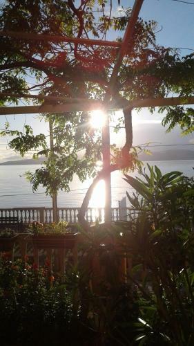 Hostal Guesthouse Plaza