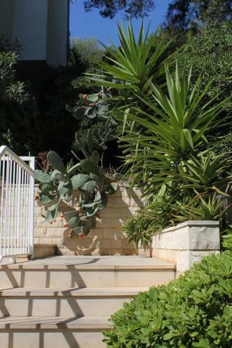 Apartment Pasadur 8337b