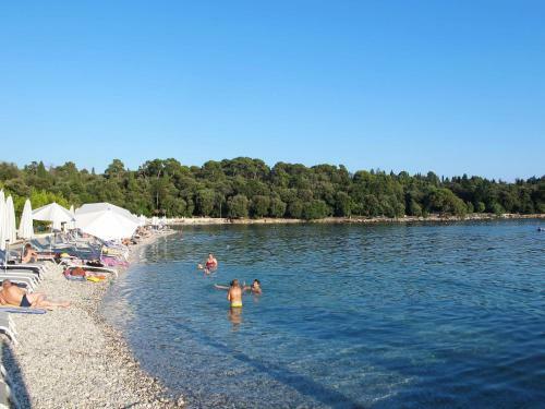 Holiday Home Nikolina (roj412)
