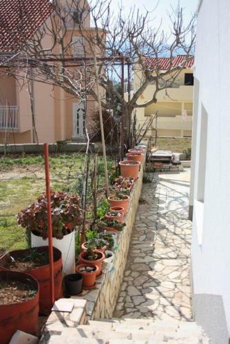 Apartamentos Studio Nemira 6070b